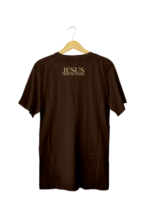 Camiseta oversized estampa Leão